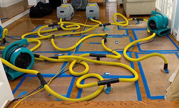 Professional Storm Water Damage Restoration technician working in Oak Grove, LA